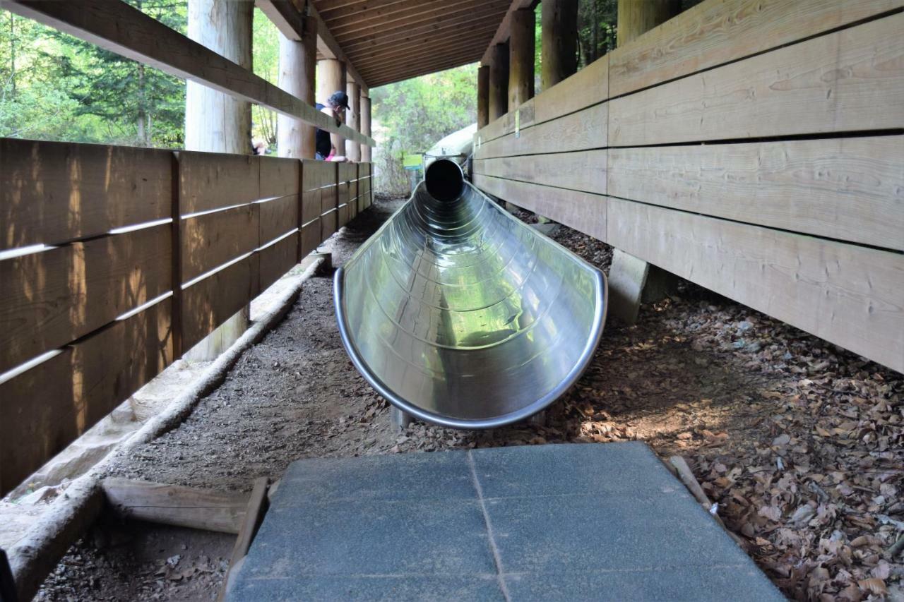 Ferienwohnung Im Dettenbachtal Waldkirch Bagian luar foto