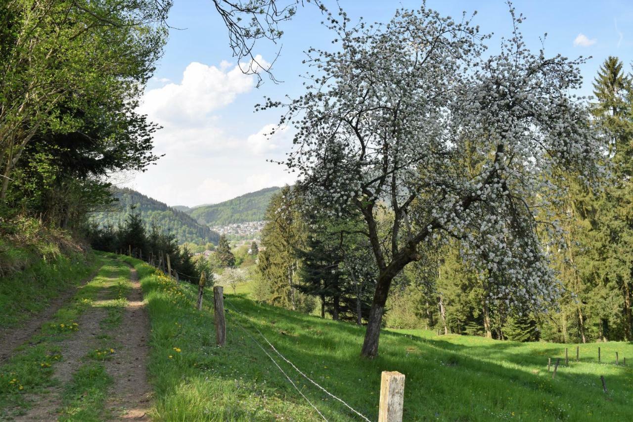 Ferienwohnung Im Dettenbachtal Waldkirch Bagian luar foto