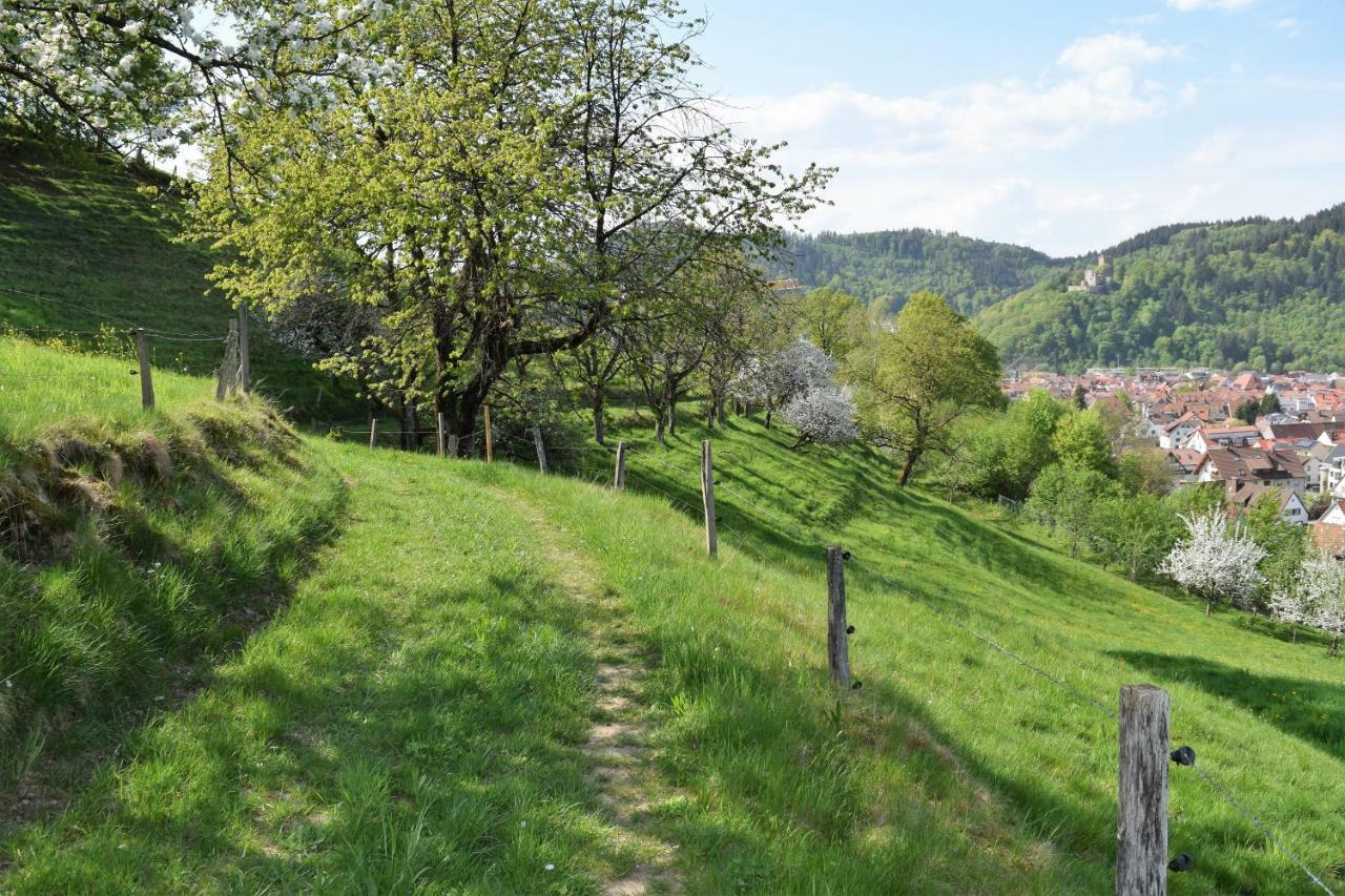 Ferienwohnung Im Dettenbachtal Waldkirch Bagian luar foto