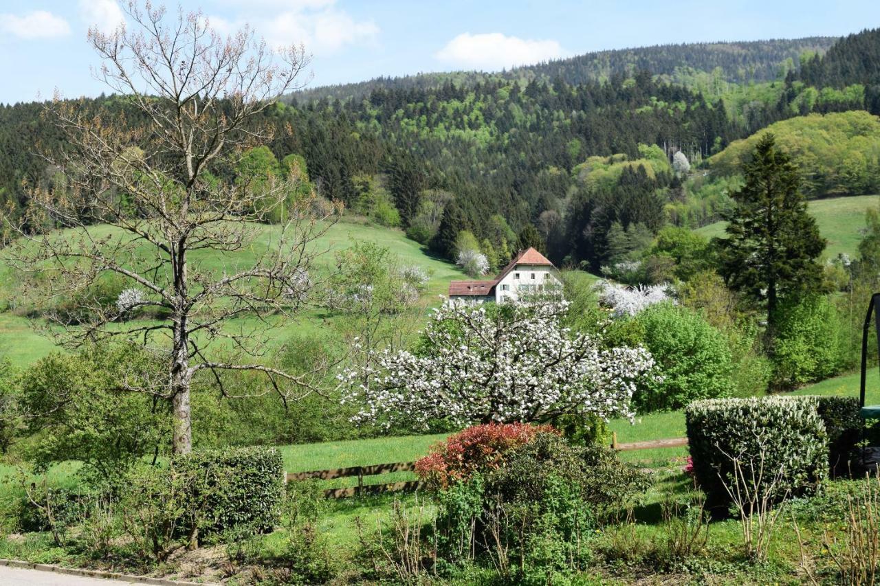 Ferienwohnung Im Dettenbachtal Waldkirch Bagian luar foto